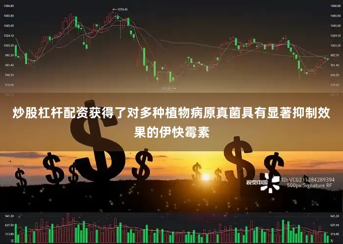 炒股杠杆配资获得了对多种植物病原真菌具有显著抑制效果的伊快霉素