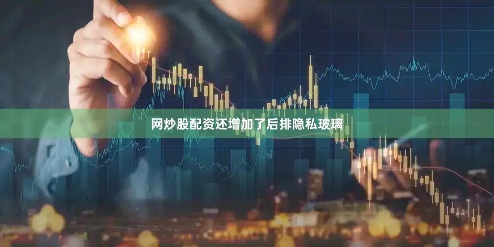 网炒股配资还增加了后排隐私玻璃