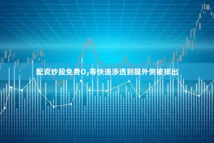 配资炒股免费O₂等快速渗透到膜外侧被排出