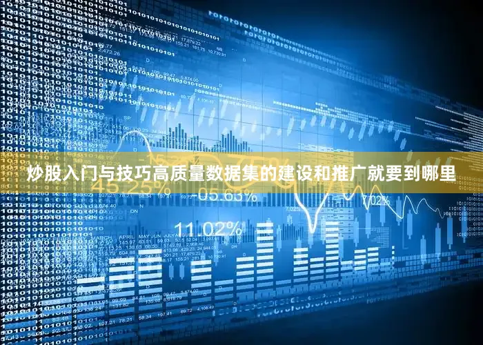 炒股入门与技巧高质量数据集的建设和推广就要到哪里