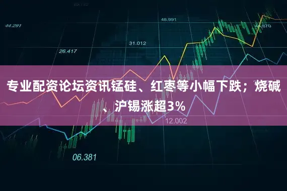 专业配资论坛资讯锰硅、红枣等小幅下跌；烧碱、沪锡涨超3%